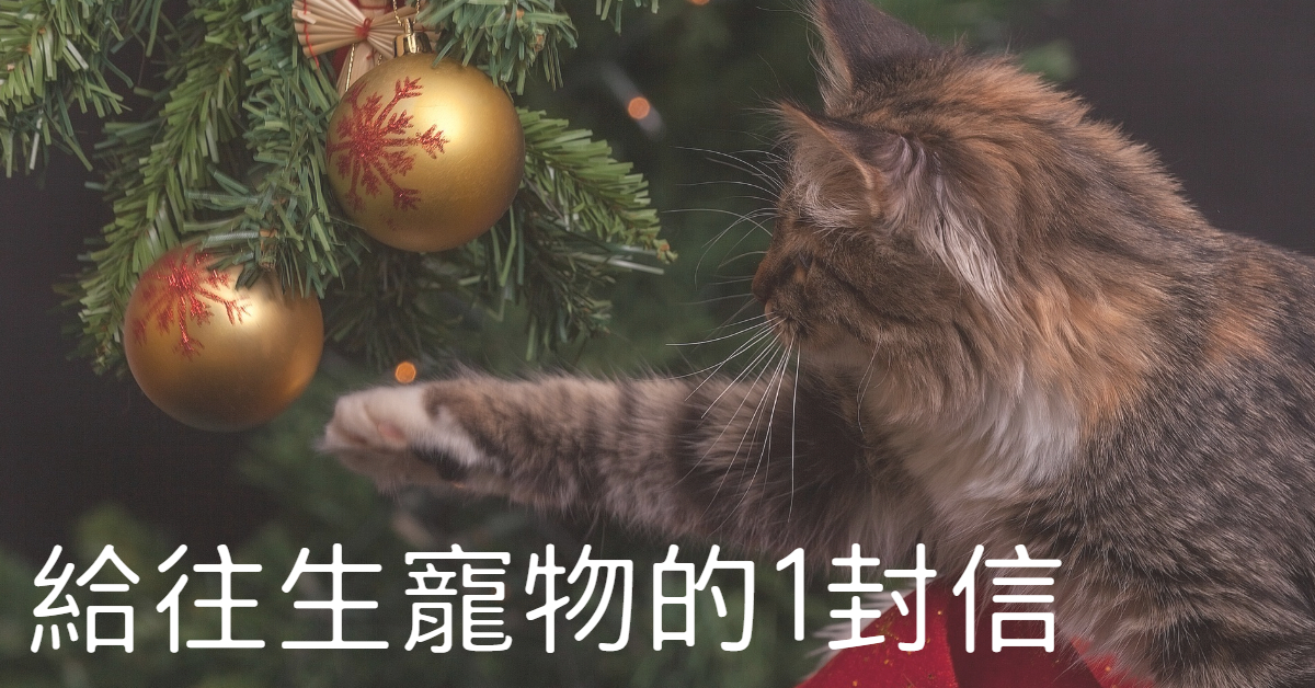 給往生寵物的1封信