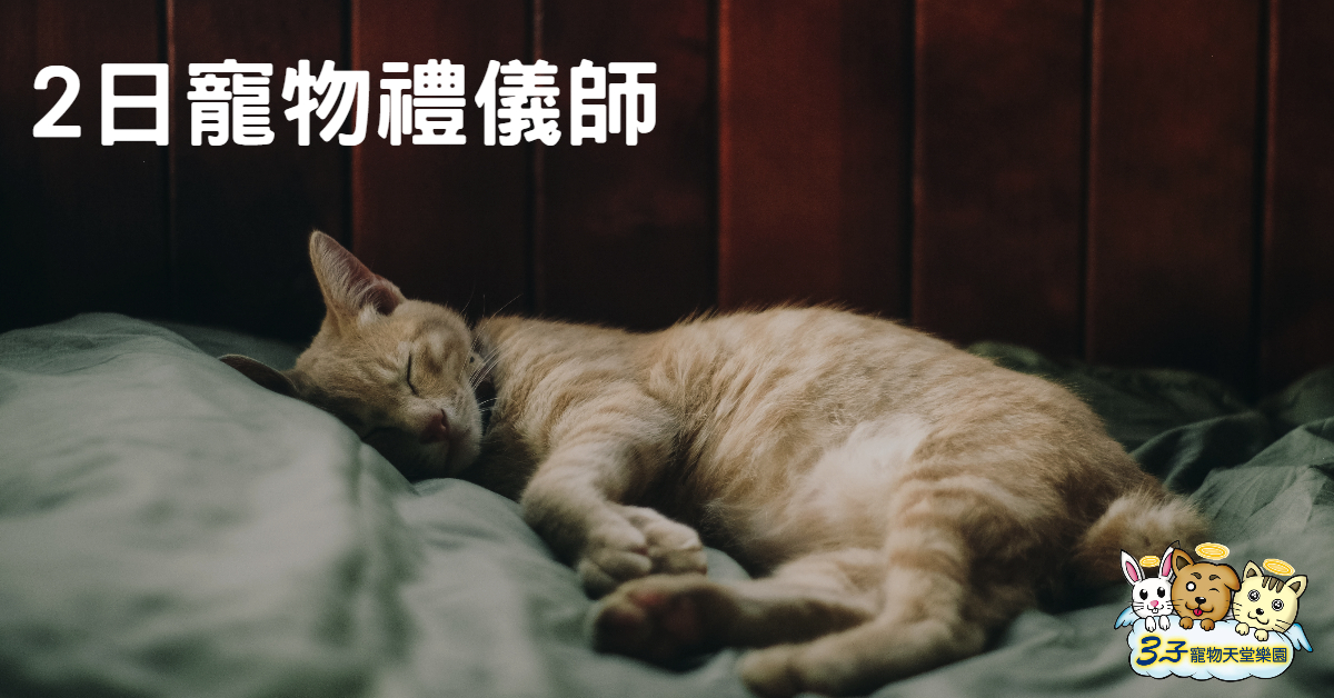 2日寵物禮儀師